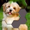 Hexa Jigsaw Puzzle™ is a super addictive game that challenges you to fit hexa pieces into the board and complete images