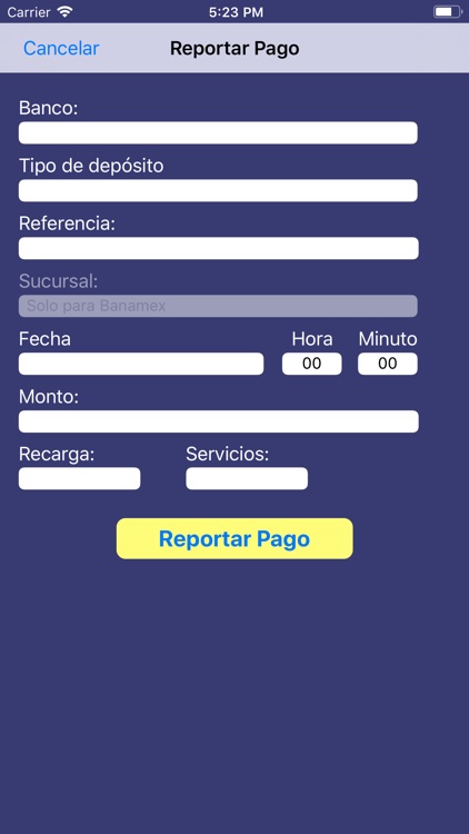 Xtreme Multipagos PDV screenshot-7
