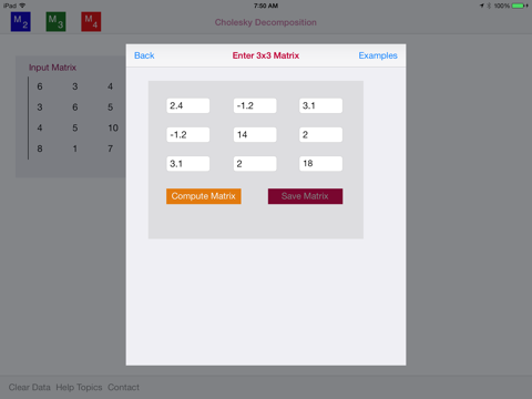 Cholesky Decomposition screenshot 3