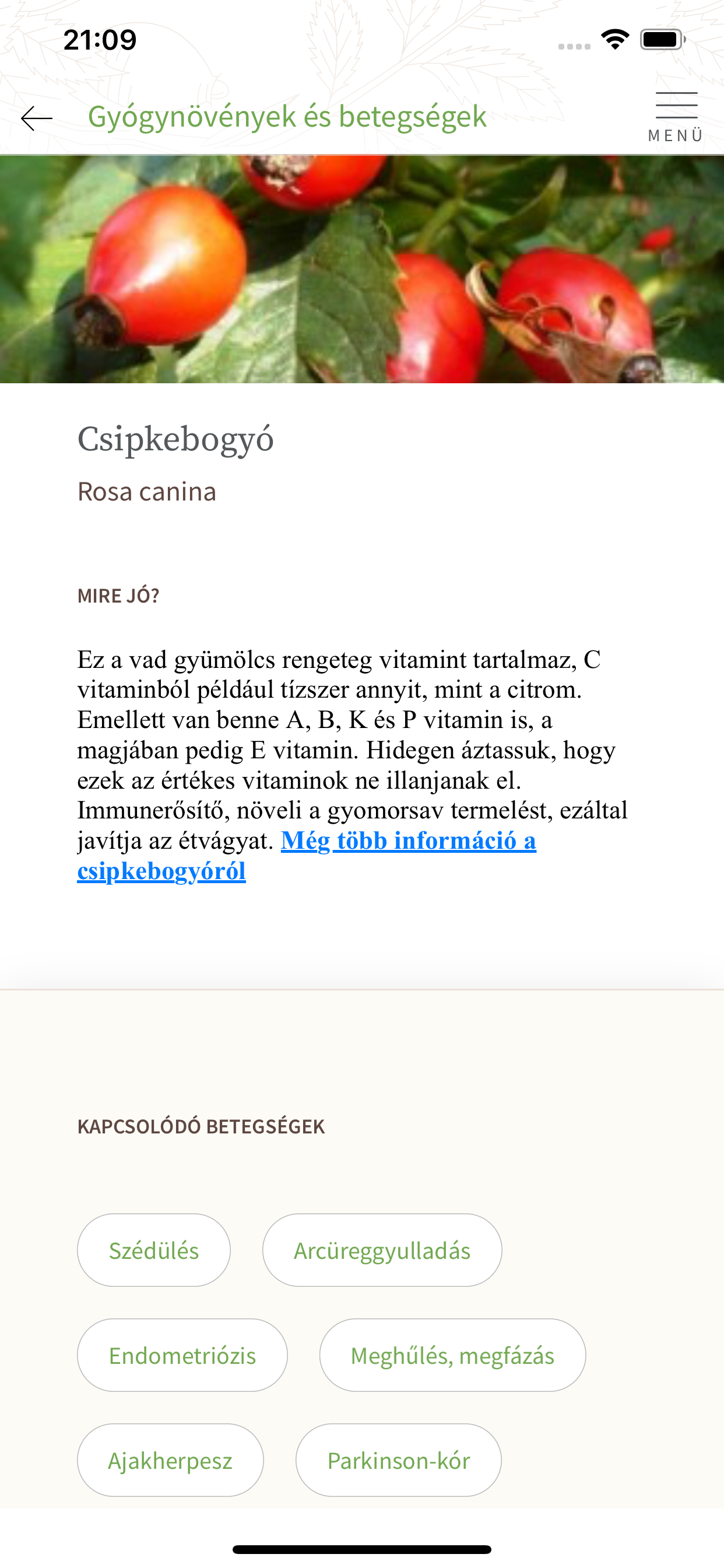 Györgytea