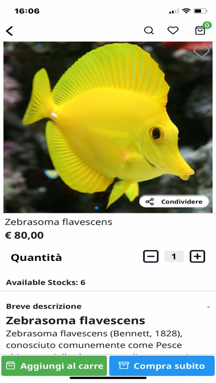 FIsh&Corals screenshot-5