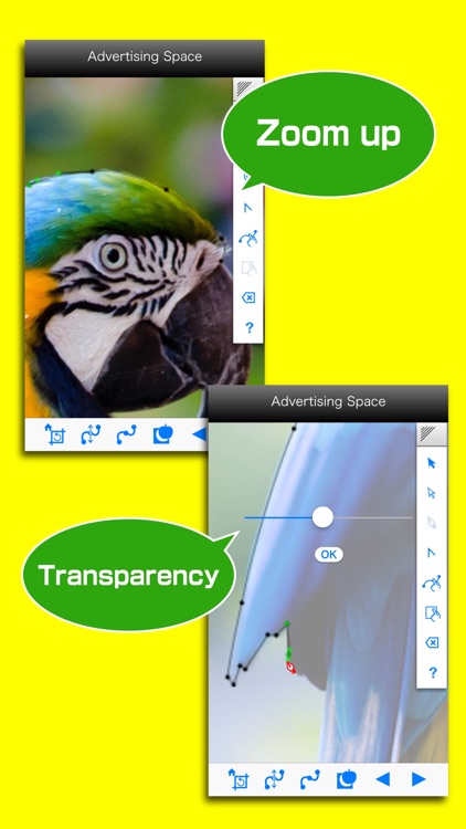 Bezier Image Clipper