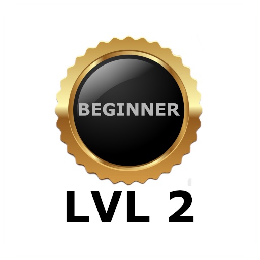 Level  2: Beginner