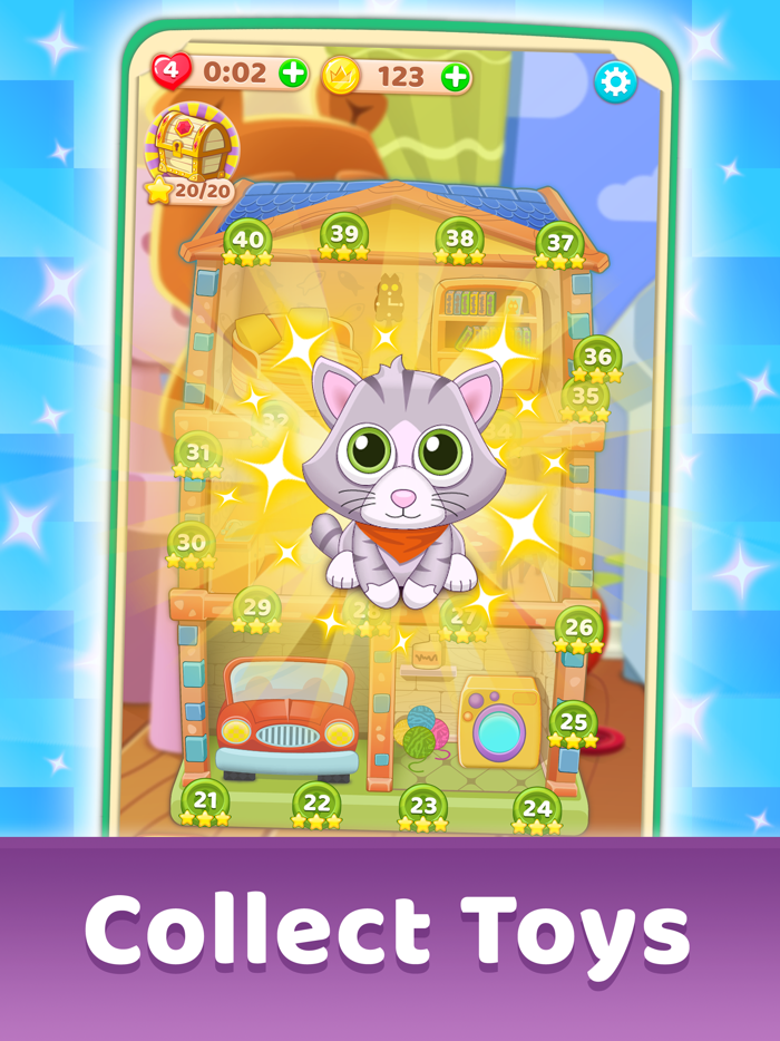 Toy Toys Block Puzzle