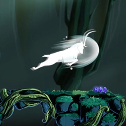 Patron saint of the jungle