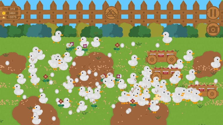 My Duck Farm