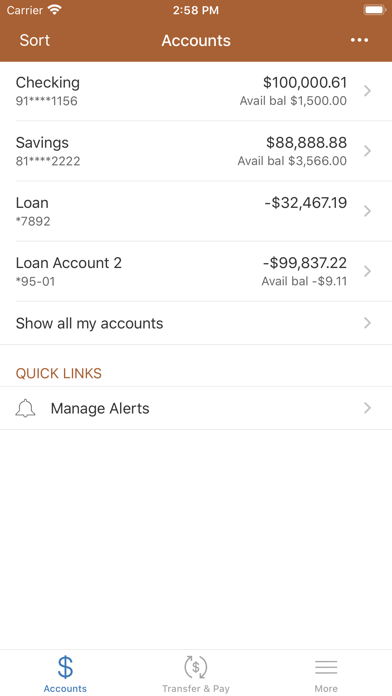 Dakota Prairie Bank Mobile Screenshot