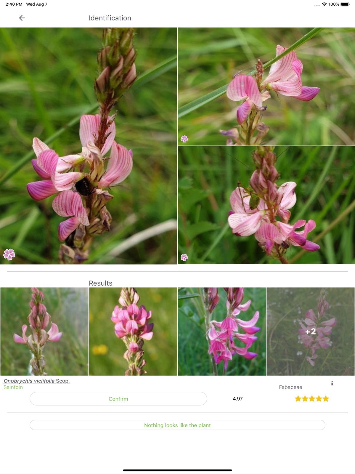 PlantNet ipad screenshot 2