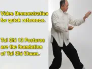 tai chi 13 postures ipad images 2