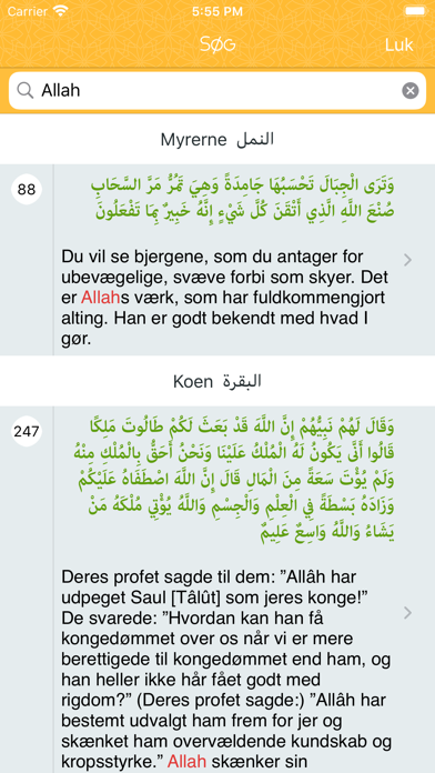 How to cancel & delete Den Klare Koran - Koranen på dansk (tekst & tale) from iphone & ipad 2