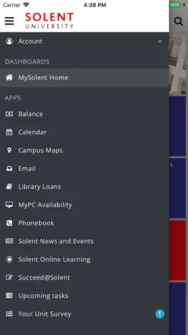 Game screenshot MySolent apk