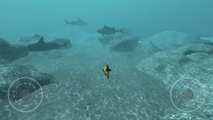 Real Fish Simulator screenshot-7