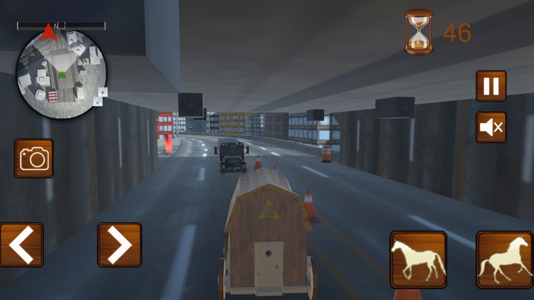 Horse Cart City Transporter