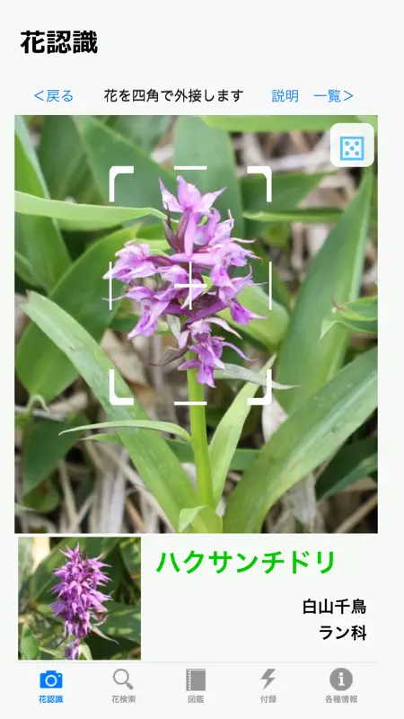 花しらべ 花認識/花検索 screenshot 1 of 4