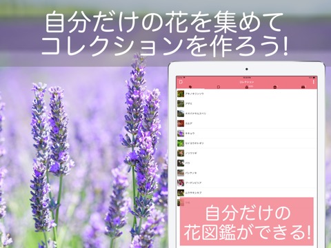 花・植物好きが集まる写真共有・図鑑アプリ, FLOWERYのおすすめ画像3