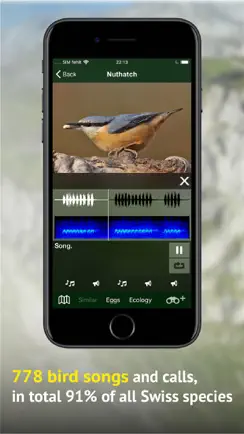 All birds CH - photo guide iPhone image 4