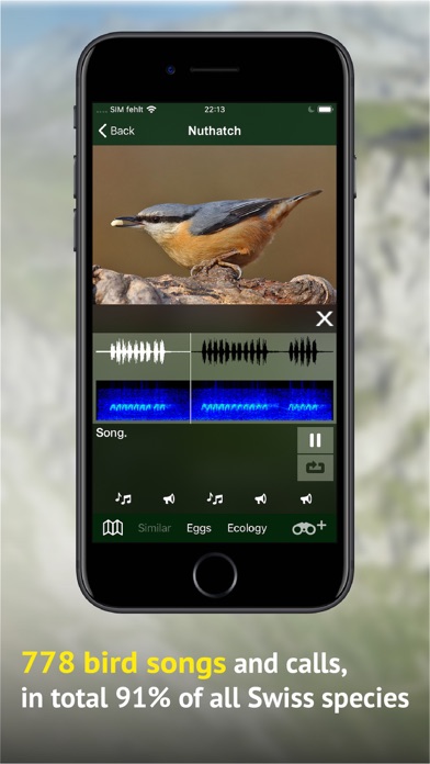 All birds CH - photo guide Screenshot