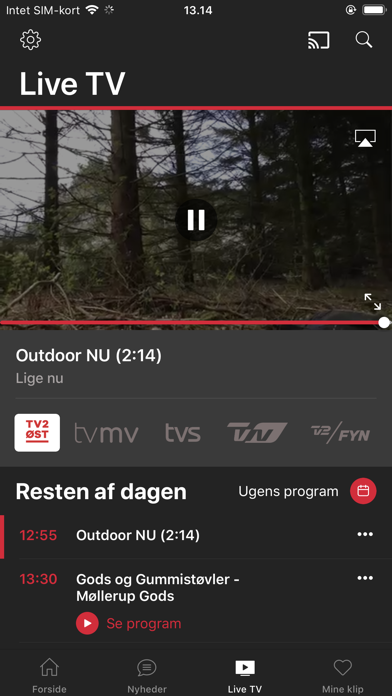 TV2 ØST Play screenshot 3