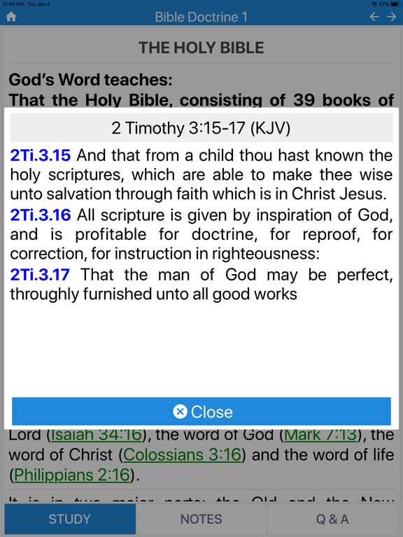 BDH - Bible Doctrine Handbook iPad screenshot 4 - Book app