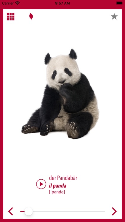 Picture Dictionary Italian