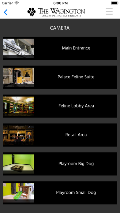 The Wagington iPhone screenshot 1 - Lifestyle app