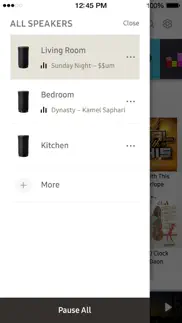 wireless audio : multiroom айфон картинки 4