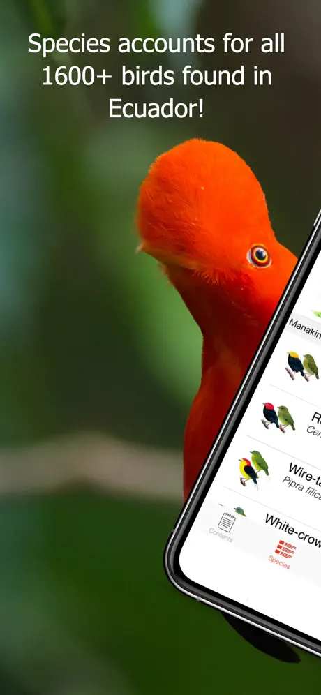 Birds of Ecuador - Field Guide
