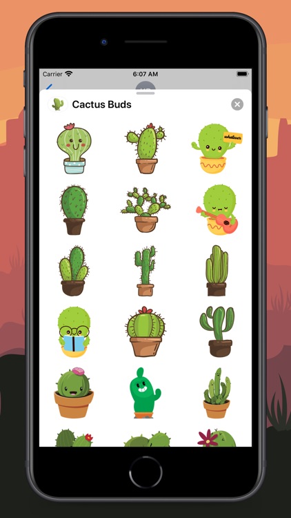 Cactus Buds screenshot-3