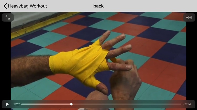 Boxing The Sweet Science screenshot-5