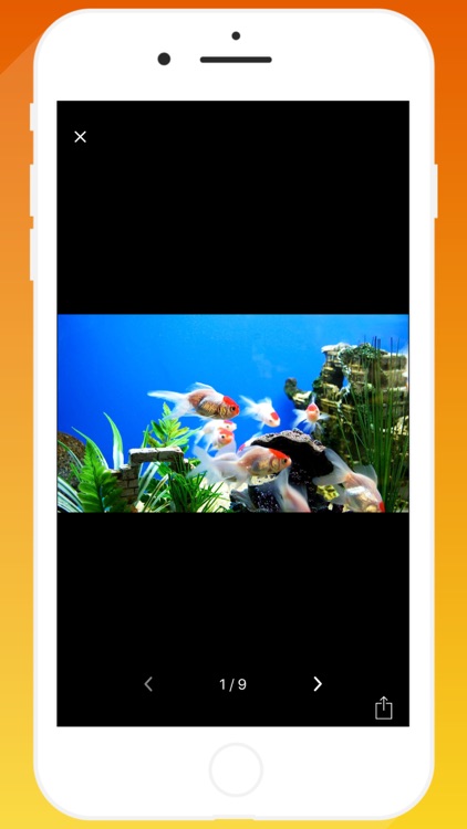 Bangalore Aquariums screenshot-9