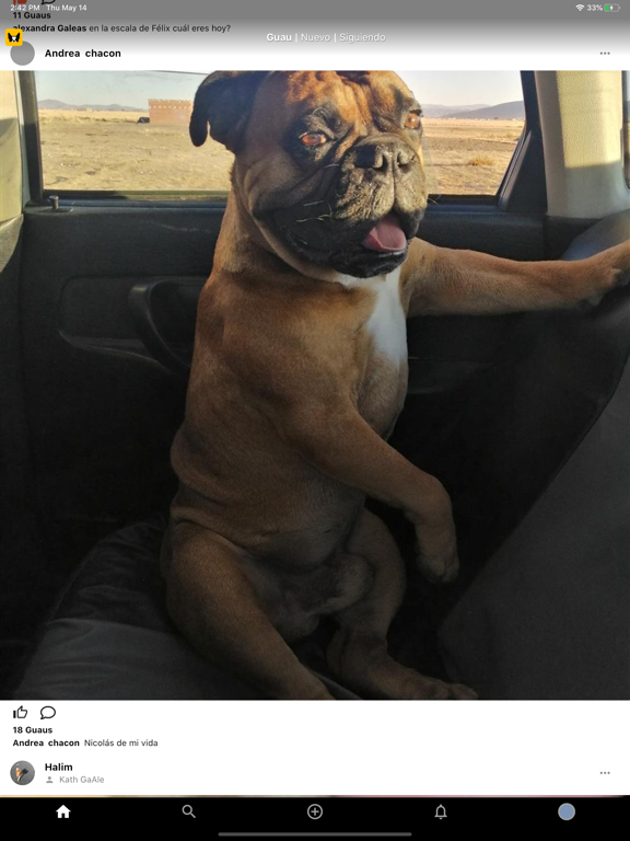 Screenshot #5 pour Canhijos