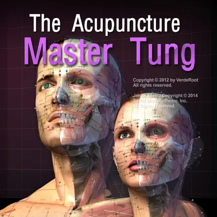 The Acupuncture Master Tung Читы