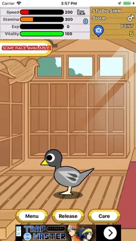 Game screenshot Race Pigeon mod apk