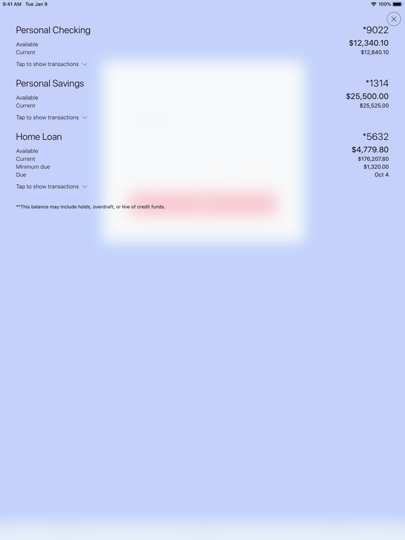 Screenshot #4 pour RiverWind Bank