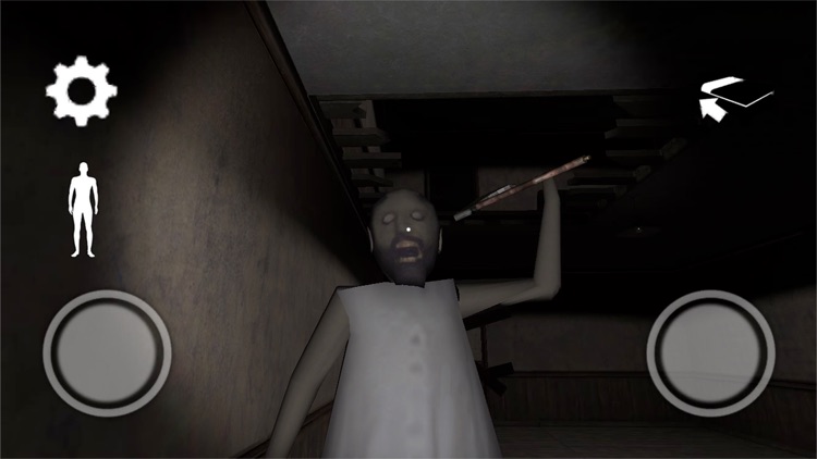 BRALDI & GRANNY SCARY-CHAPTER1 screenshot-7