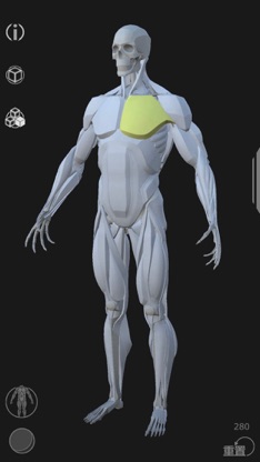 Artist's Anatomy screenshot 5