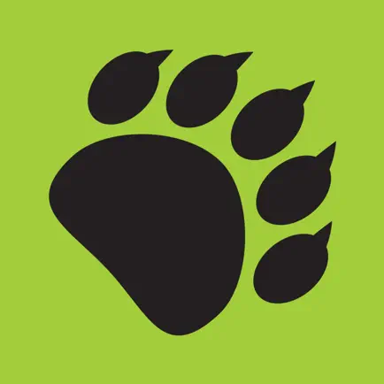 971 The Bear Cheats