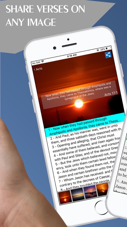 Darby Bible · screenshot-5