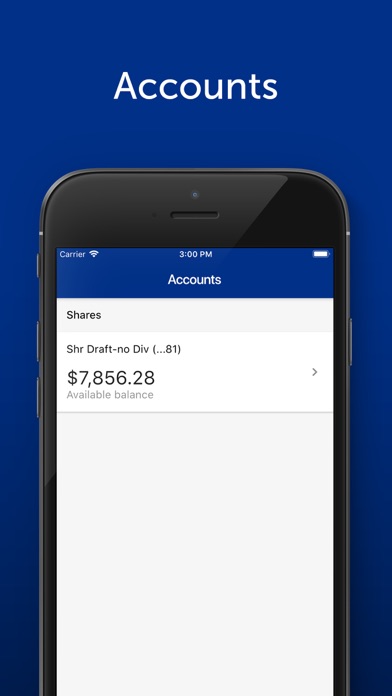 Polish-American Credit Union Screenshot