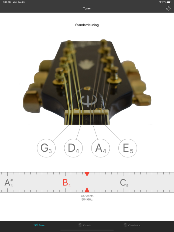 Screenshot #4 pour Mandolin Tuner EM-1