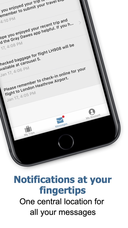 GRAY DAWES screenshot-4