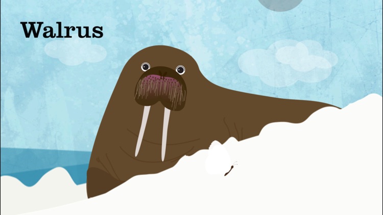 Peek-a-Zoo: Peekaboo Kid Games screenshot-3