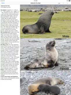 Antarctic Wildlife Guide iPad image 2