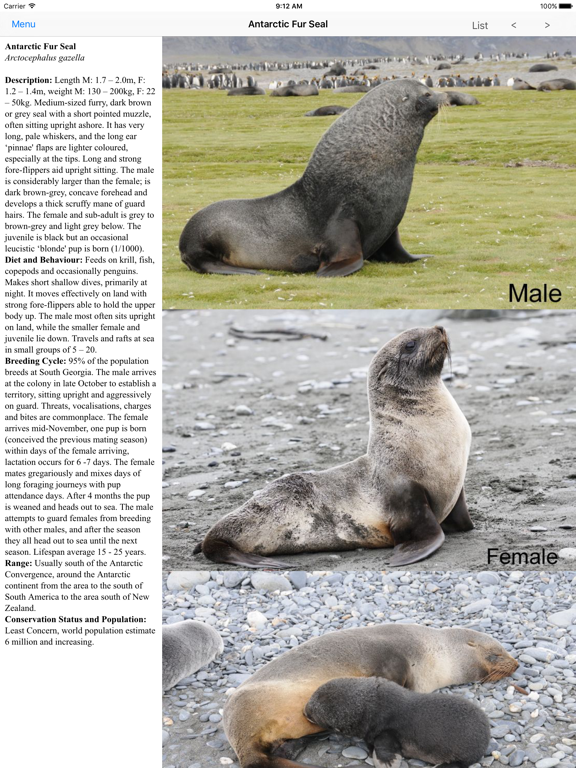 Screenshot #5 pour Antarctic Wildlife Guide