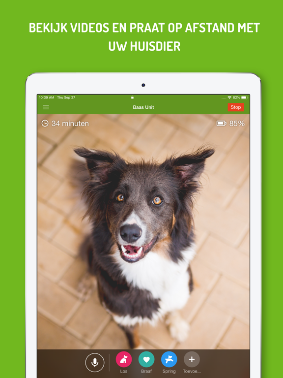 Hond Monitor iPad app afbeelding 3