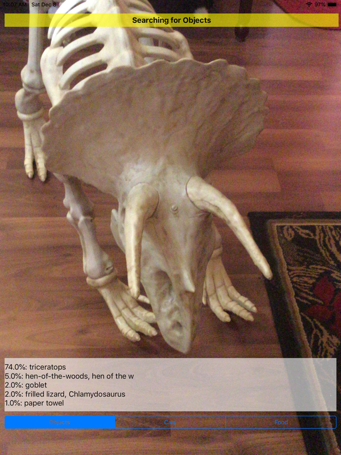 ML Image Identifier Lite