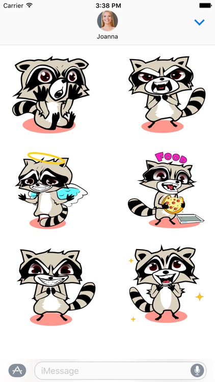 Robert the Raccoon