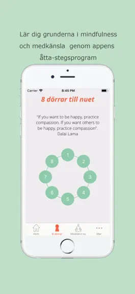Game screenshot Mindfulness & Medkänsla apk