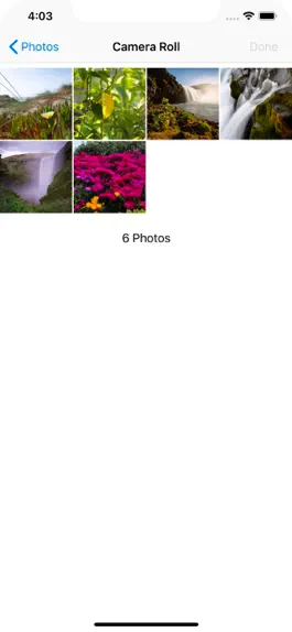 Game screenshot Kolizeyfoto.ru mod apk
