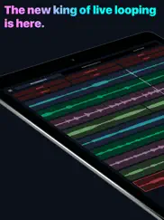 audiokit l7 - auv3 live looper айпад изображения 1